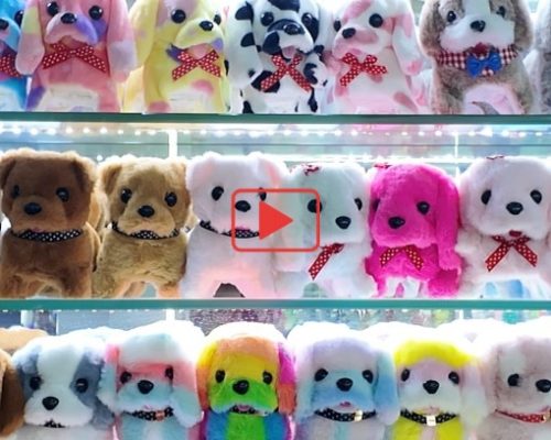 犬のぬいぐるみ