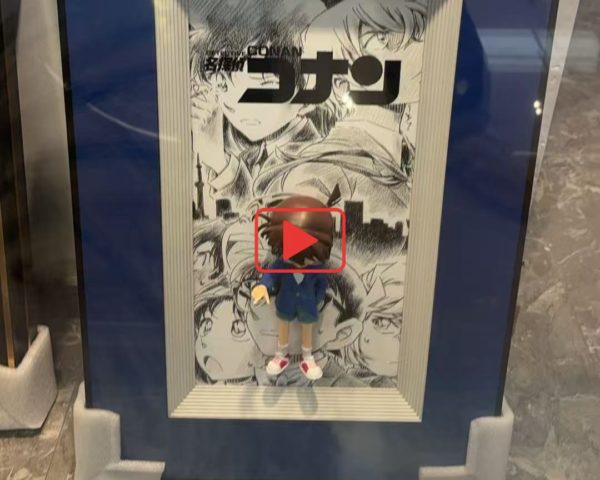 ディスプレイケース